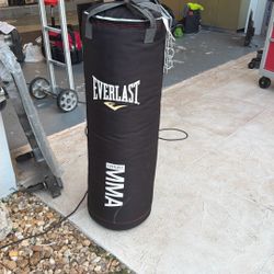 Everest Punching Bag 