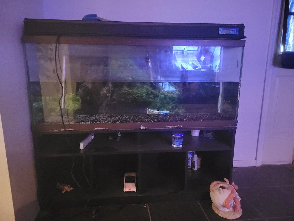 50 Gal Fish Tank With Stand
