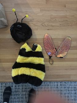 4T Bee Costume
