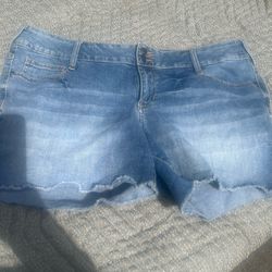 Woman’s Decree Jean Shorts Size 17