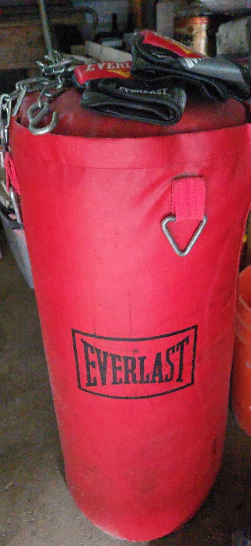 Everlast Punching Bag 
