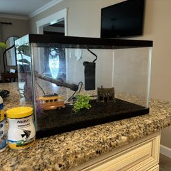 Fish Tank Setup Need Gone