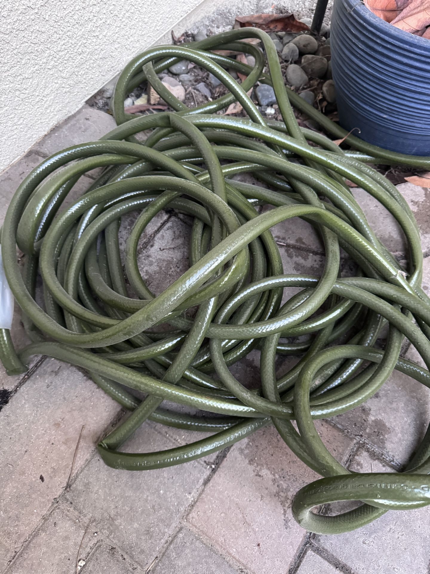 50 Ft Hose