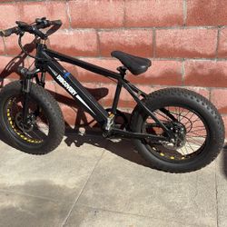 DISCOVERY ELECTRIC BiKE