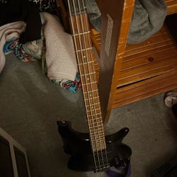 SDGR Bass Willing To Trade For A Electric Guitar