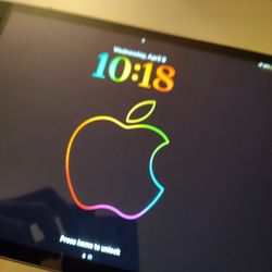 Space Grey iPad 9th Generation (246 gb)