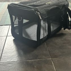 Medium cat Carrier