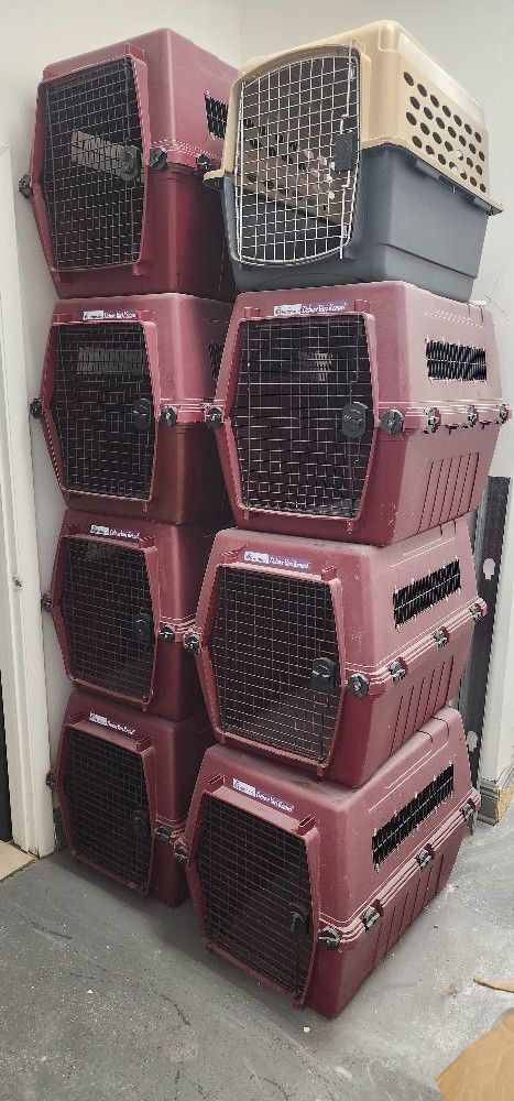 Dog Cage