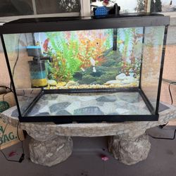 Fish Tank