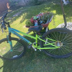 mountain bike for preteen