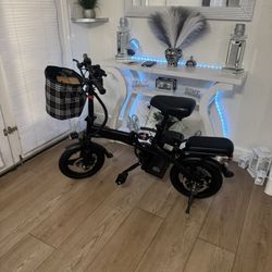 Electric Bike 