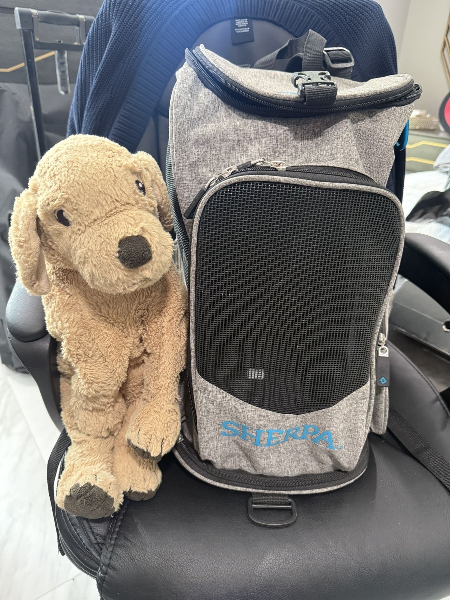 Small Pet Carrier