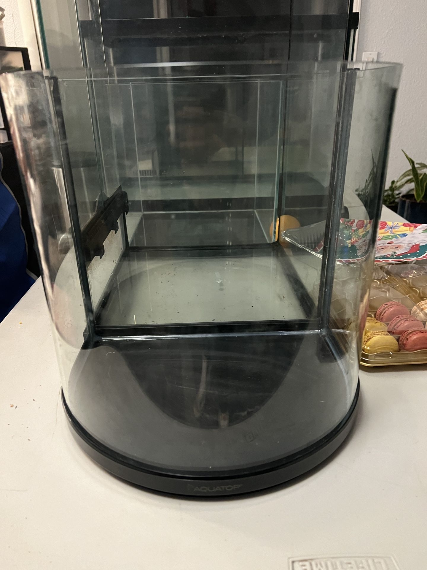 Curved Fish Tank 