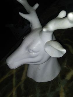 Deer head