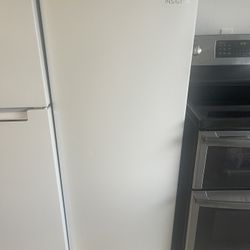 Upright Freezer 