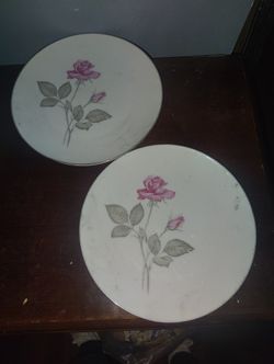 Zylista Rose Fine Chine