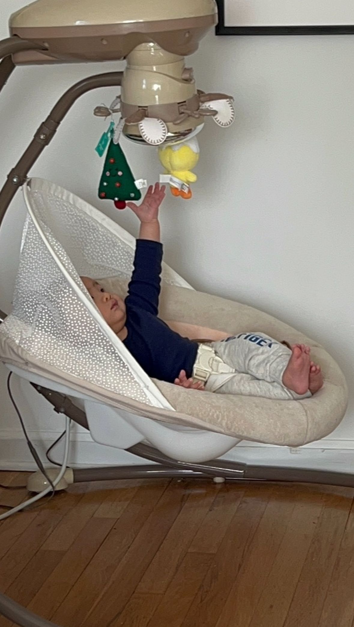 Fisher Price Swing
