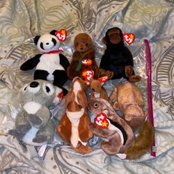 New Ty Beanie Baby’s Collection