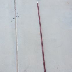 Fly Rod