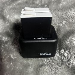 Go Pro Batteries With Charging Case 