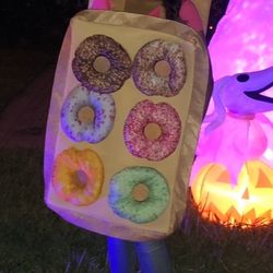 Box Of Donuts Halloween Costume
