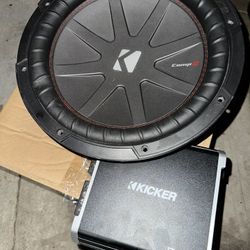12” Subwoofer