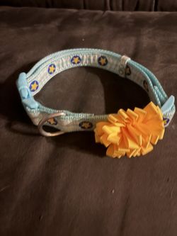 Size L pet collar