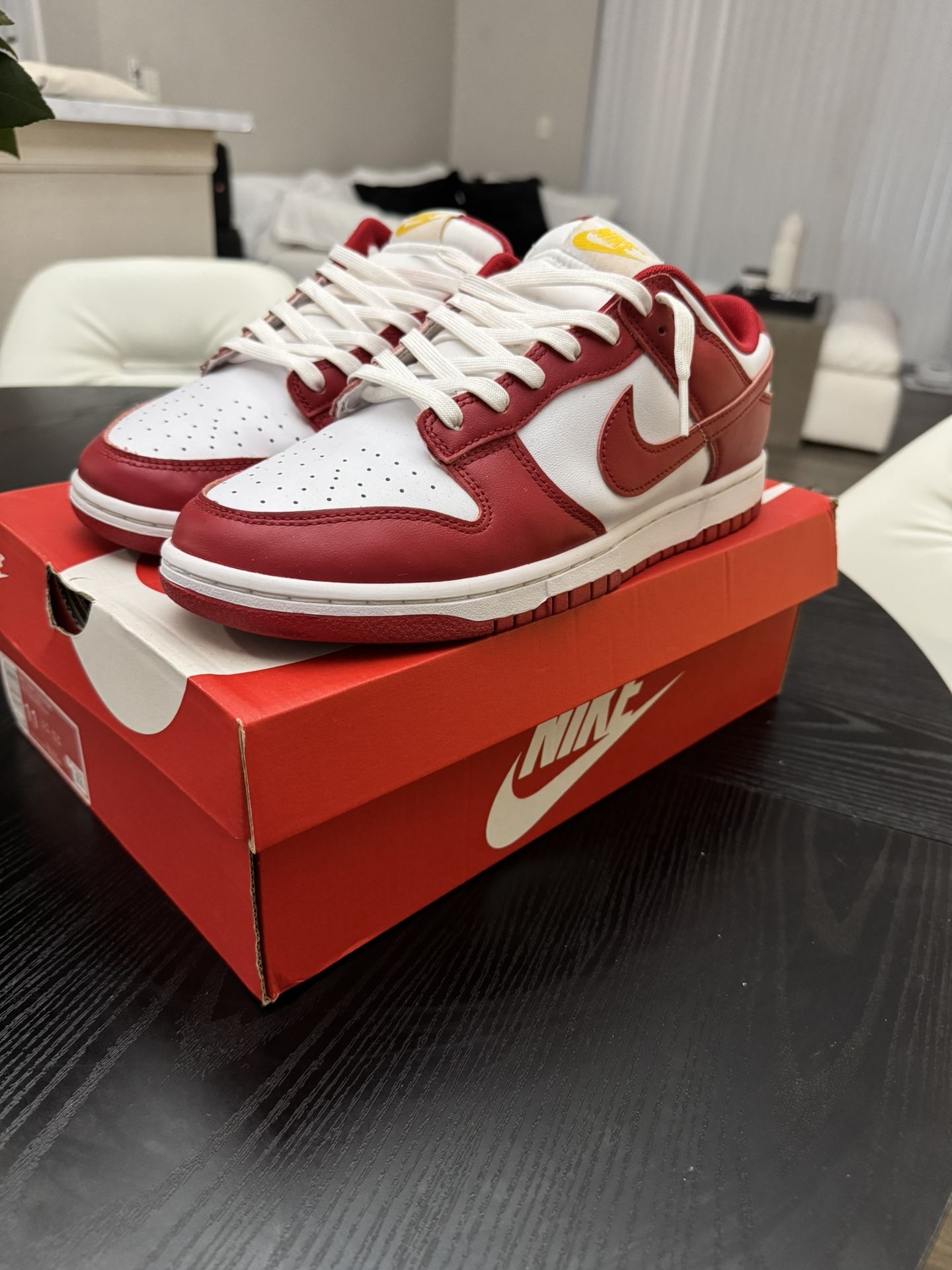 Nike Dunk Low USC