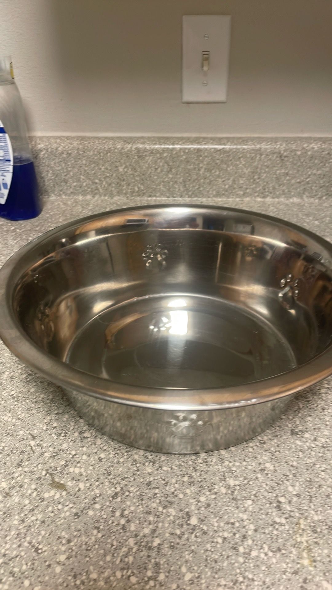 XXL pet dish