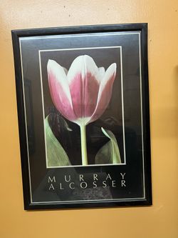 Cuadro Murray Alcosser