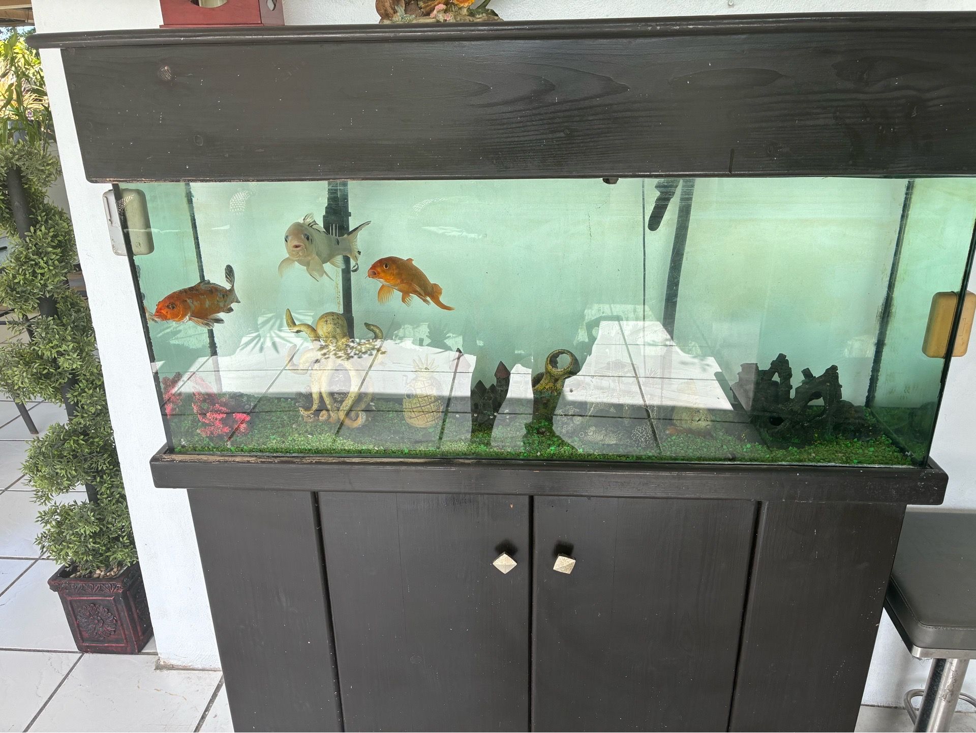 Fish tank