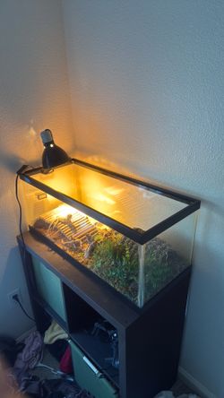 Bearded dragon cage / reptile cage