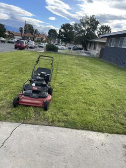Garden Jardinero
