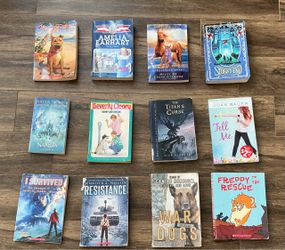 Lot of 12 Children's Chapter Books