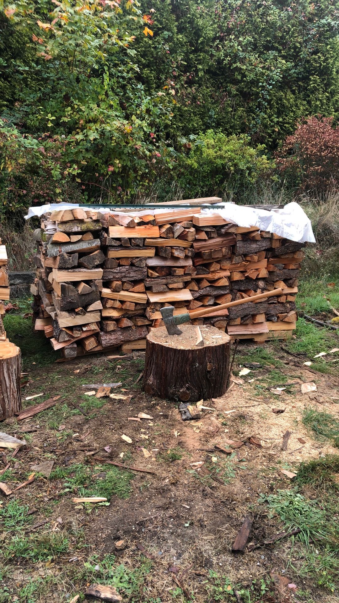 Doug Fir And Cherry