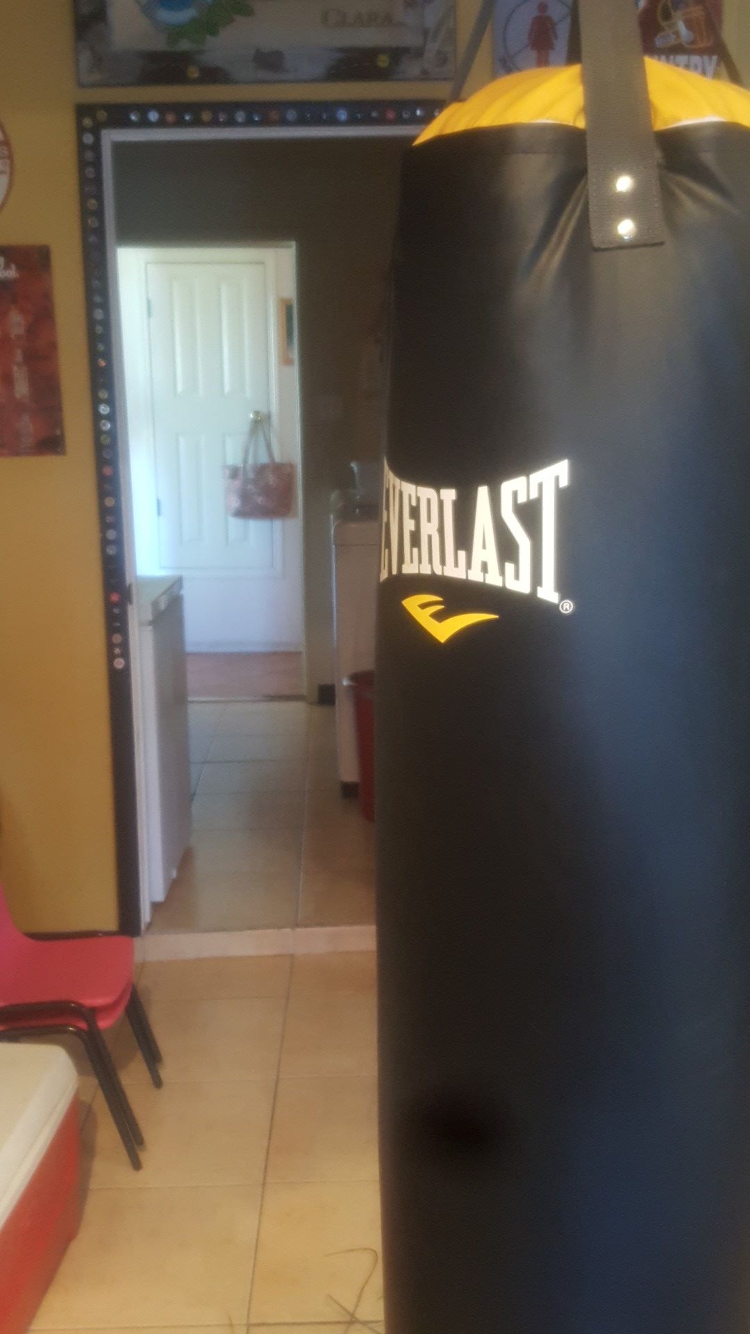 Everlast punching bag and gloves
