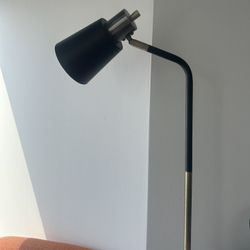 Black Gold Floor Lamp
