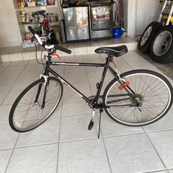 Bike Perfect Seven 86 Three One Six 8 Seven O Four 