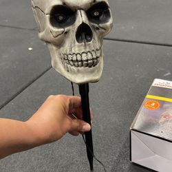 Halloween Lawn Skulls