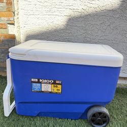 Igloo Cooler (with wheels)