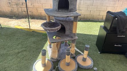 Casa de gatos