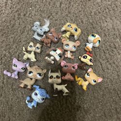 LPs Pack Dogs Cats 