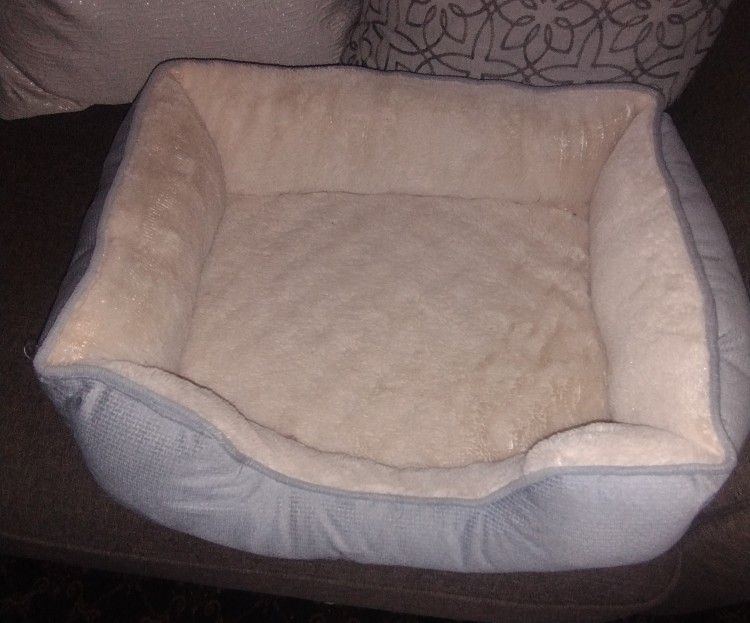 Cat Bed