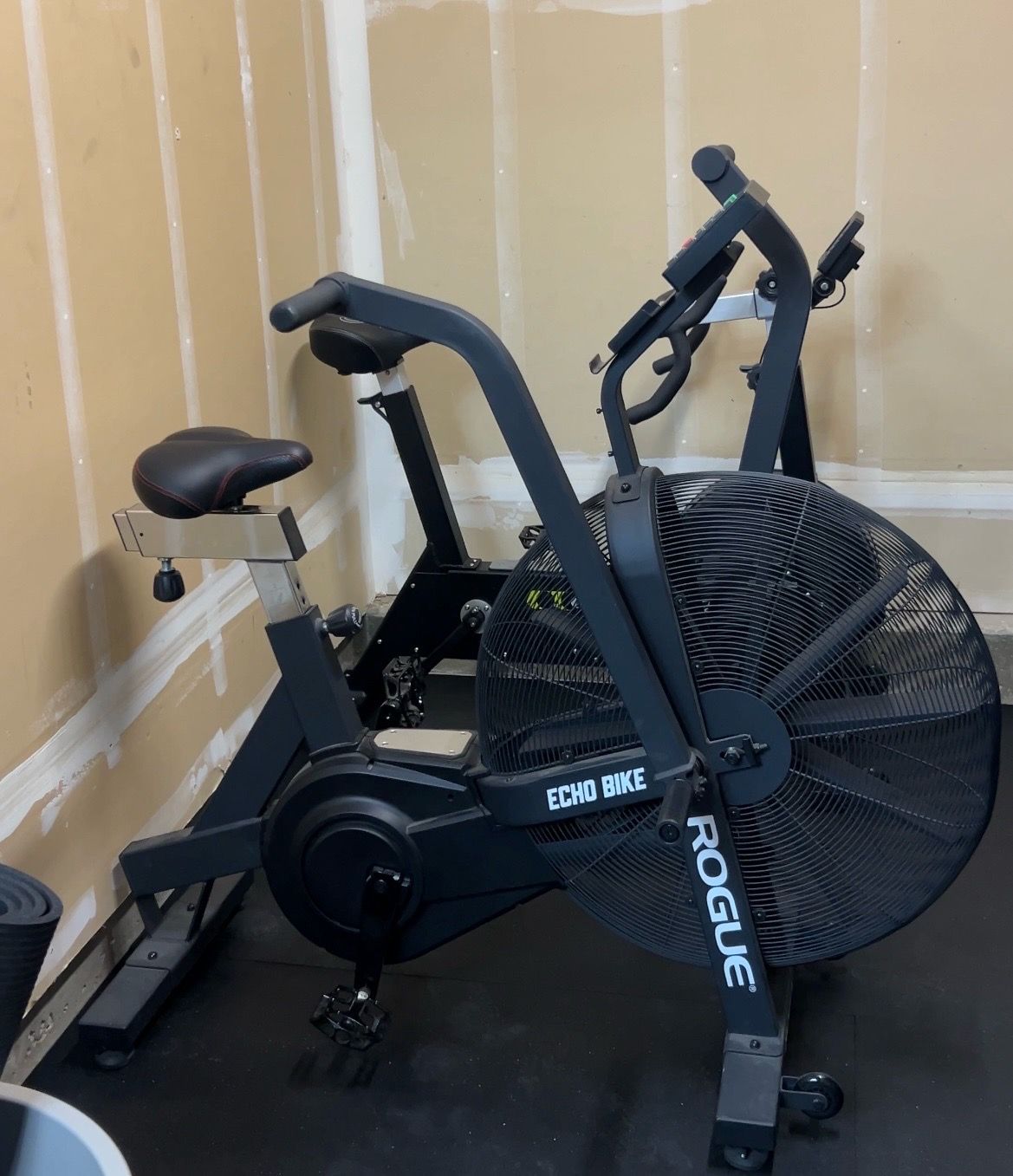 Rogue Echo Bike