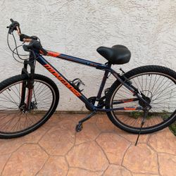 Size 29 Bicycle ( Mongoose)
