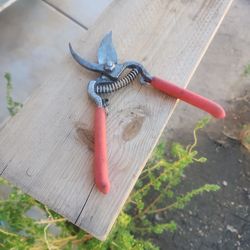 Pruning Sherts Corona New