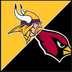 Cardinalsvs Vikings Want To Buy Tickets