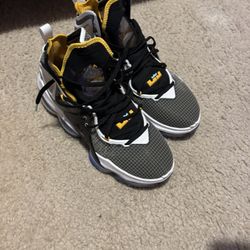 Size 11M LeBron XIX