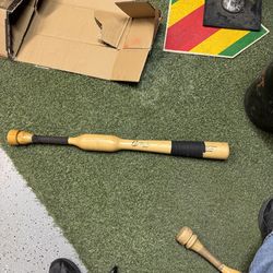 Cam wood training bat