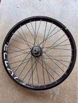 LHD free coaster with eclat hoop
